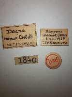 大蕈蟲藏品圖，第2張