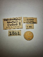 大蕈蟲藏品圖，第2張