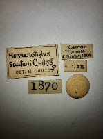 大蕈蟲藏品圖，第2張