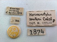 大蕈蟲藏品圖，第2張