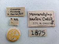 大蕈蟲藏品圖，第2張