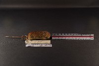 月鼠藏品圖，第3張