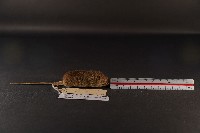 月鼠藏品圖，第3張