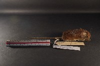 臺灣森鼠藏品圖，第3張