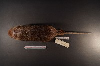 鬼鼠藏品圖，第6張