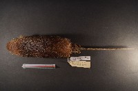 鬼鼠藏品圖，第6張