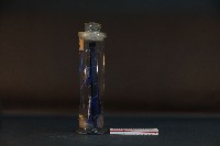 珍珠貝藏品圖，第2張