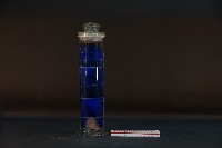 珍珠貝藏品圖，第3張