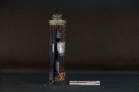 珍珠貝藏品圖，第4張