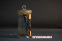 土蚌藏品圖，第4張