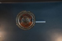 貓的發生順序藏品圖，第5張