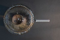 羊的胚胎藏品圖，第5張