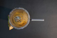 鹿的胎兒藏品圖，第5張