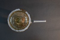 蝙蝠藏品圖，第4張