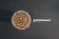 豬的胚胎藏品圖，第5張