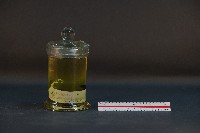 鼴鼠藏品圖，第1張