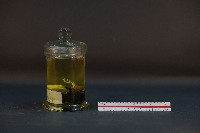 鼴鼠藏品圖，第2張