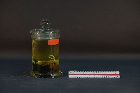 鼴鼠藏品圖，第3張