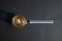 嚙齒類胎兒藏品圖，第5張