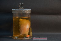 鬼鼠藏品圖，第4張