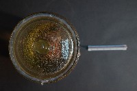 蝙蝠藏品圖，第5張