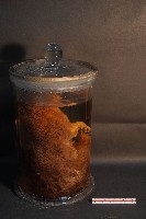麝香貓藏品圖，第4張