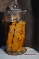 家兔藏品圖，第3張