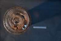 嚙齒類藏品圖，第5張