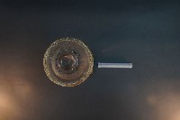 豬腎 (解剖與色素注射)藏品圖，第5張