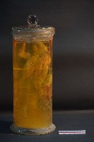 兔的解剖藏品圖，第3張