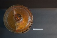 兔的解剖藏品圖，第5張