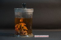 哺乳類的內部器官藏品圖，第2張