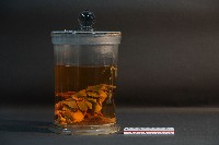 哺乳類的內部器官藏品圖，第3張