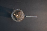 臺灣穿山甲的胚胎藏品圖，第5張