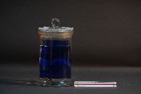 臺灣穿山甲的胎兒在母體內發育過程藏品圖，第3張