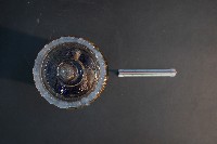 臺灣穿山甲的胎兒在母體內發育過程藏品圖，第5張