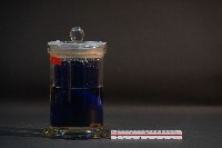 臺灣穿山甲的胎兒在母體內發育過程藏品圖，第3張