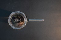 臺灣穿山甲的胎兒在母體內發育過程藏品圖，第5張