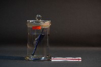 臺灣穿山甲的胎兒在母體內發育過程-2藏品圖，第2張