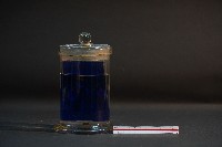 臺灣穿山甲的胎兒在母體內發育過程-2藏品圖，第3張