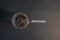 臺灣穿山甲的胎兒在母體內發育過程-2藏品圖，第5張