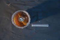 臺灣穿山甲藏品圖，第5張