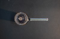 臺灣穿山甲的胎兒在母體內發育過程藏品圖，第5張