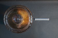 臺灣雌性穿山甲的內部器官(含胚胎)藏品圖，第5張
