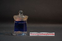 嚙齒類的胚胎藏品圖，第3張