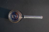 嚙齒類的胚胎藏品圖，第5張