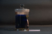 貓的胚胎(環狀胎盤)藏品圖，第2張