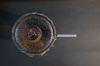 貓的胚胎(環狀胎盤)藏品圖，第5張