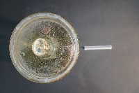 袋鼠之排泄系統藏品圖，第5張