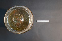 家犬(頭部縱切面)藏品圖，第5張